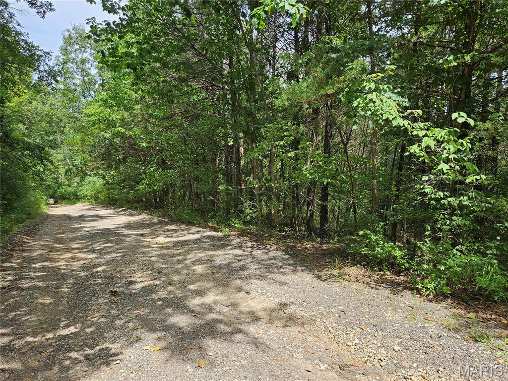 9480 Bent Tree Drive Property Photo 8