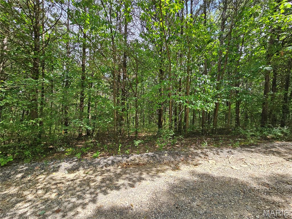 9480 Bent Tree Drive Property Photo 9