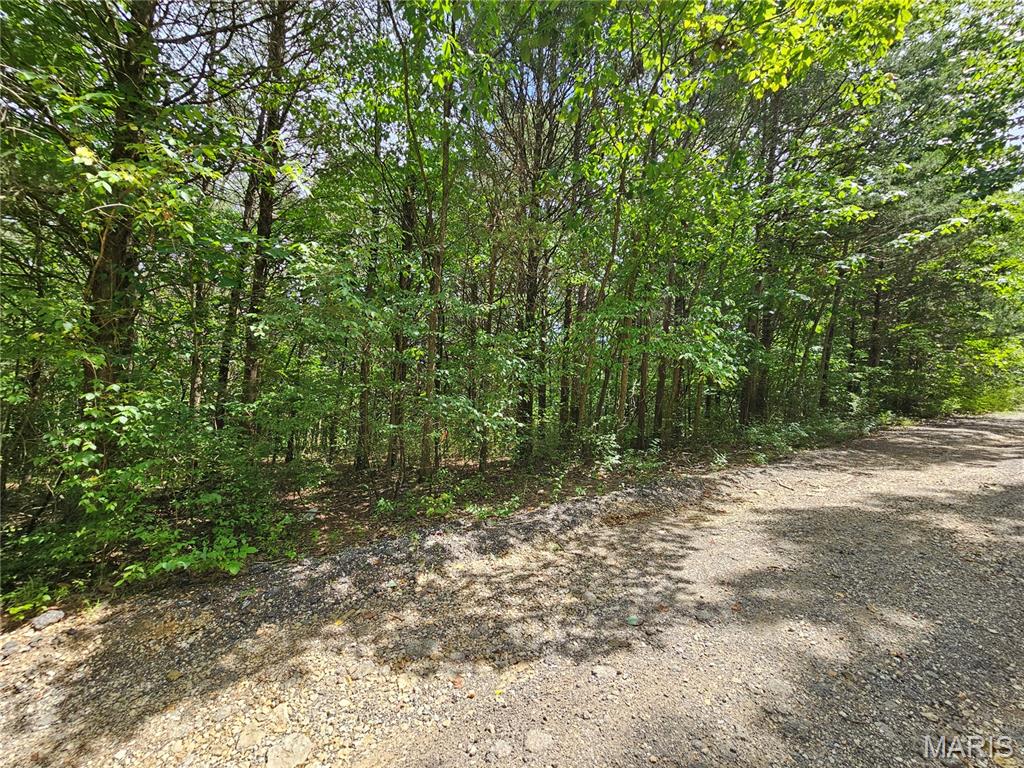 9480 Bent Tree Drive Property Photo 10