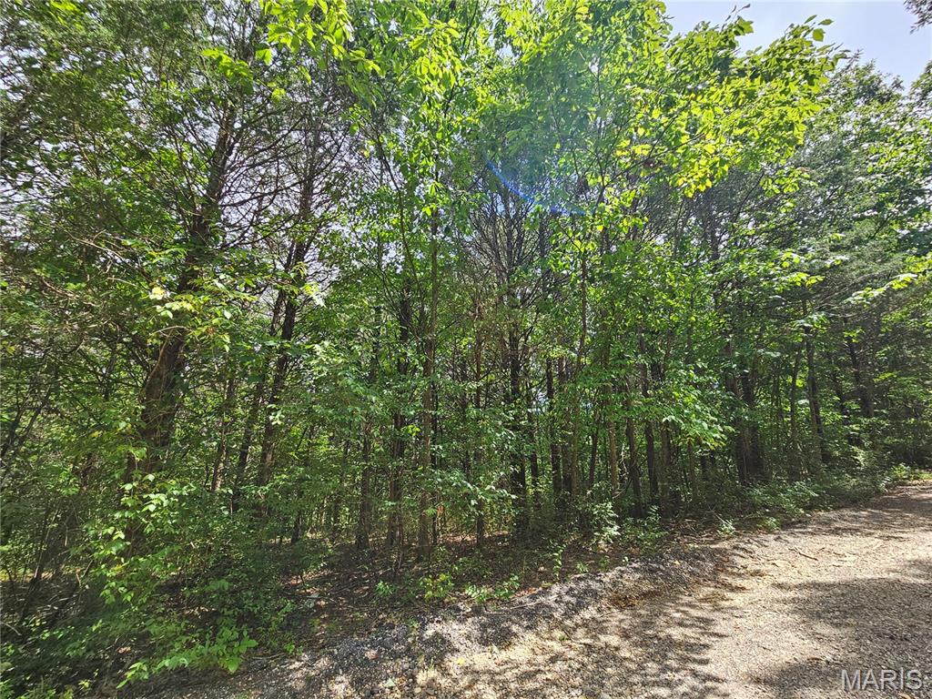 9480 Bent Tree Drive Property Photo 11