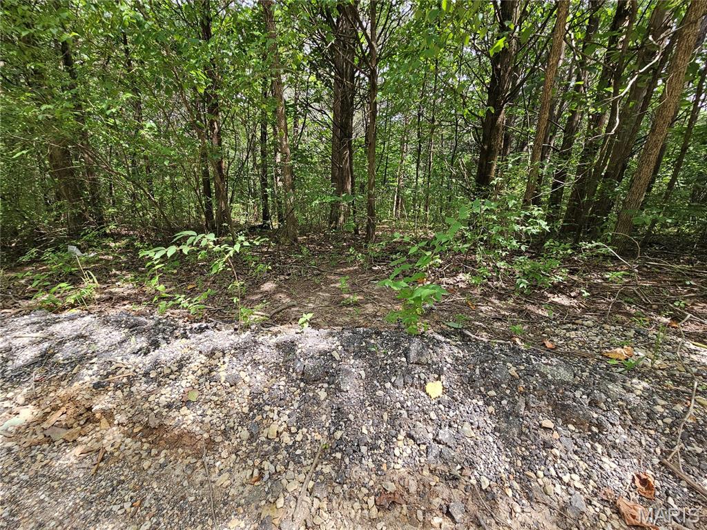 9480 Bent Tree Drive Property Photo 12