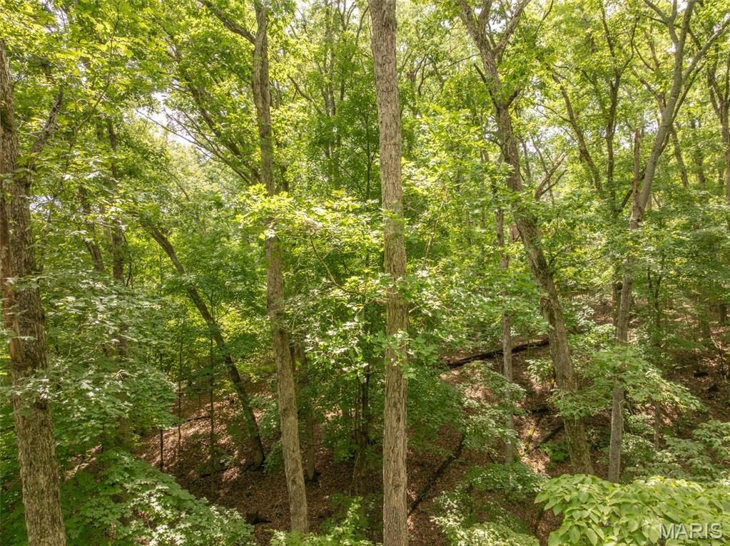 1741 Sonnenblick Drive Property Photo 21