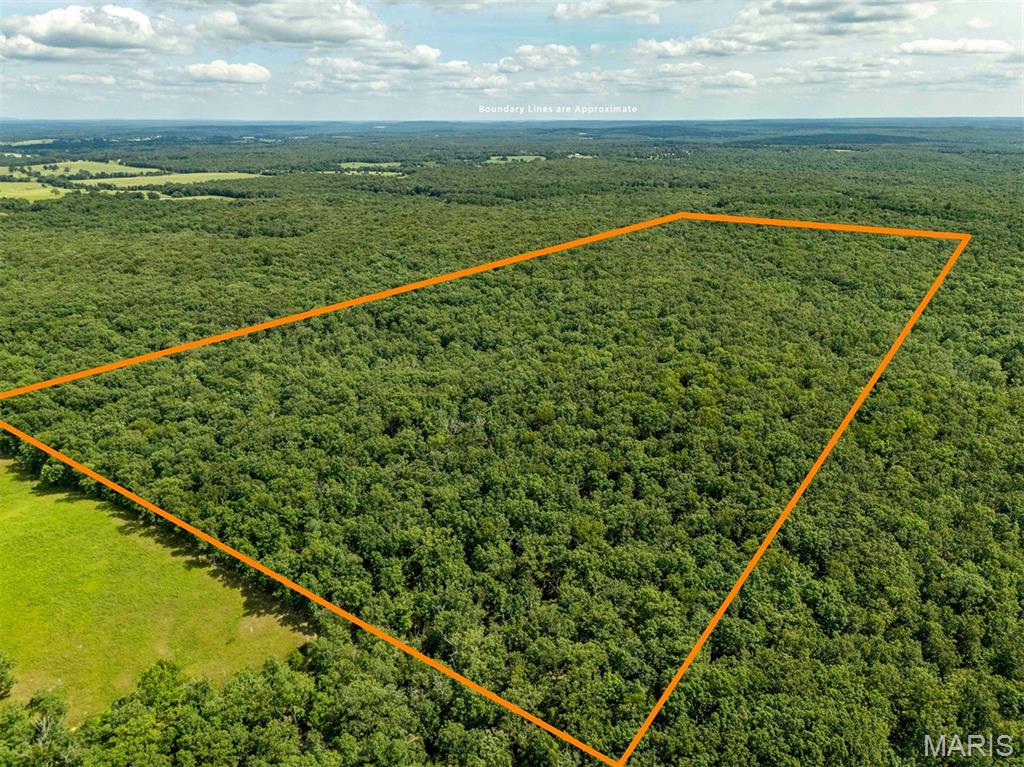 00 Fire Tower Road Property Photo 1