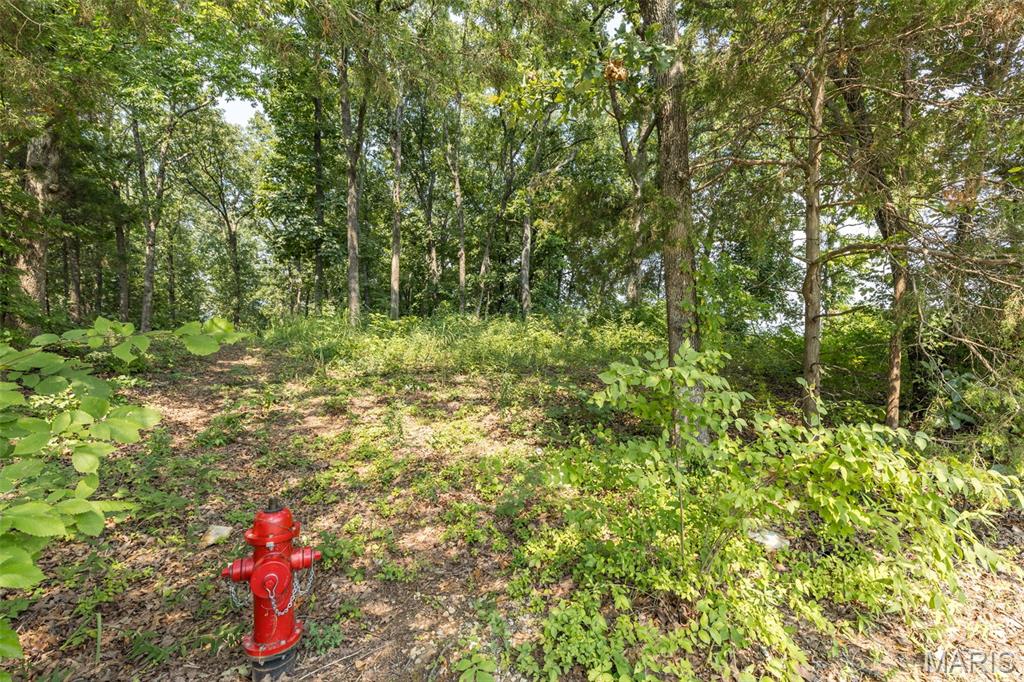 3225 Carron Road Property Photo 3