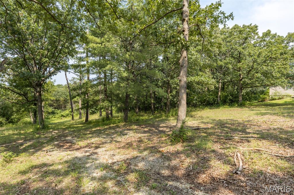 3225 Carron Road Property Photo 5