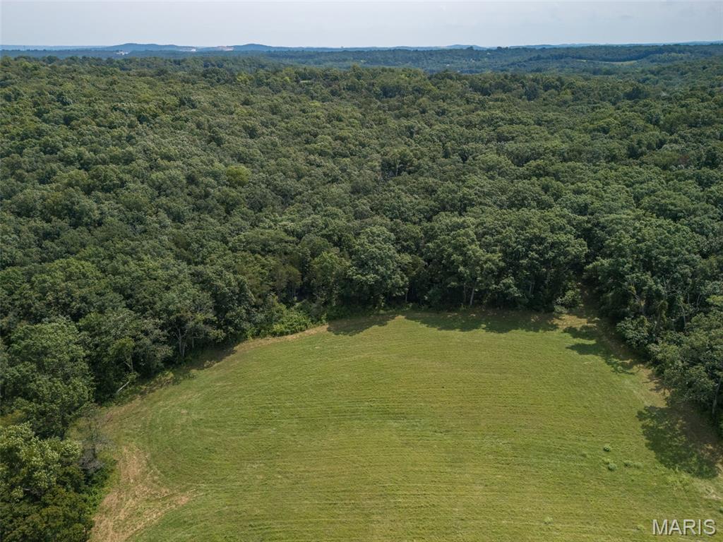 3225 Carron Road Property Photo 15