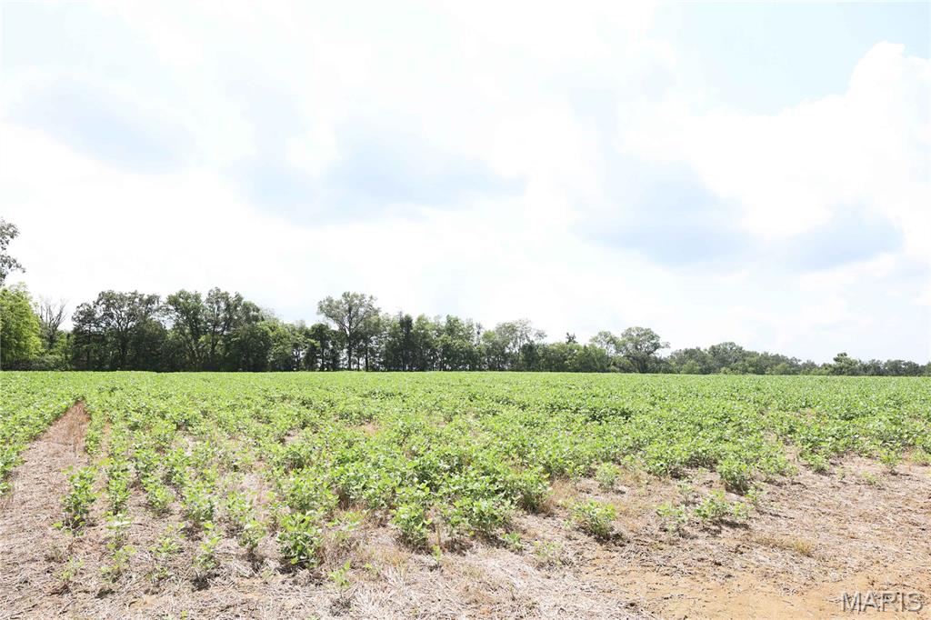 Off PCR 914 Lot 16