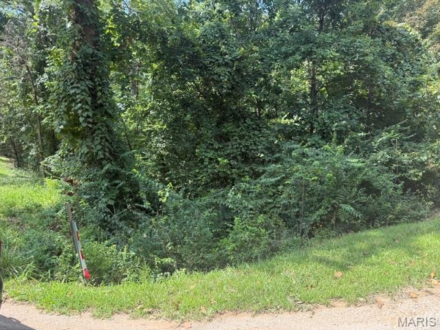 9363 Peartree Drive Property Photo 1
