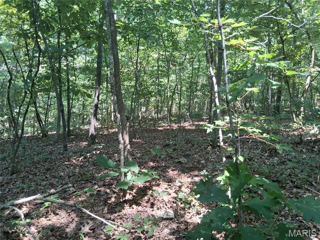 001 Cr 68 Tract 1 Property Photo 10