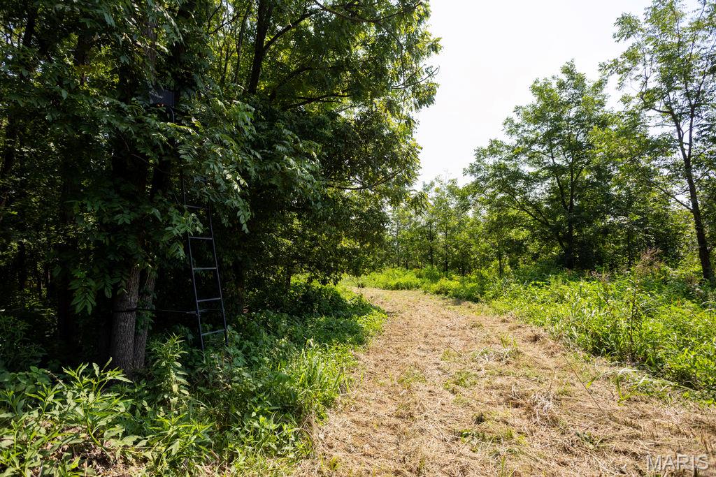 56504 Shaw Road Property Photo 76