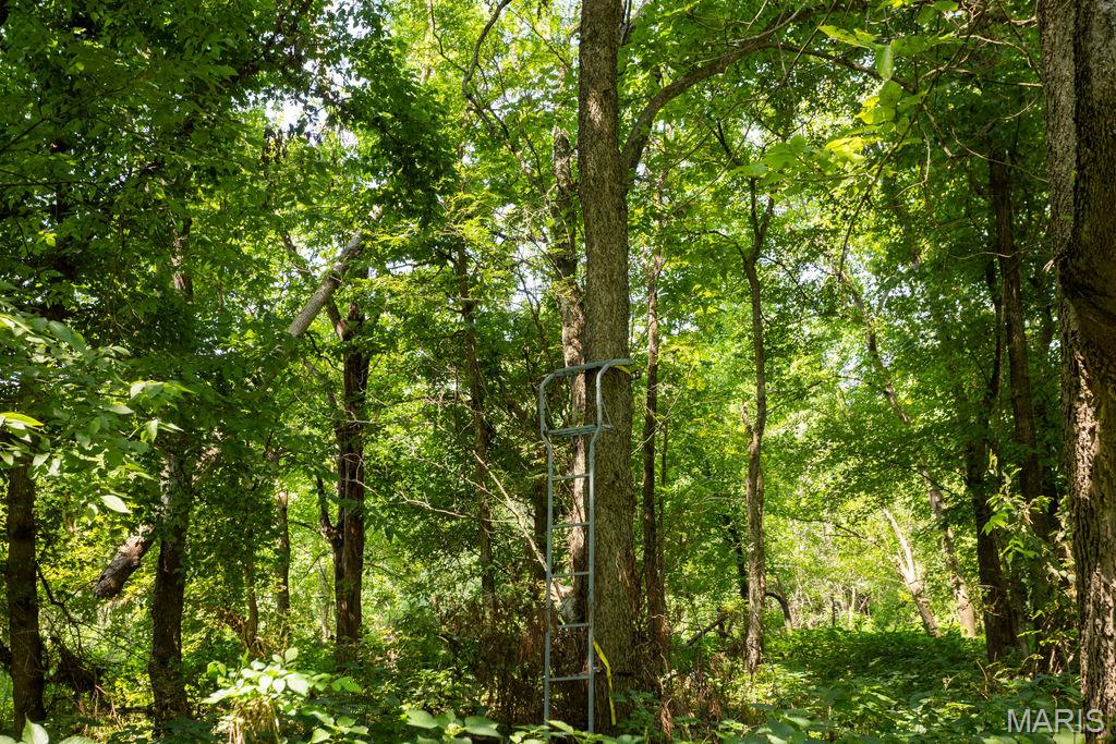 56504 Shaw Road Property Photo 82