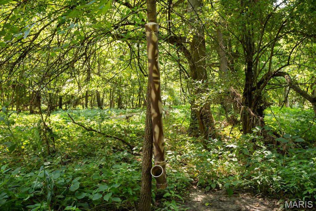 56504 Shaw Road Property Photo 83
