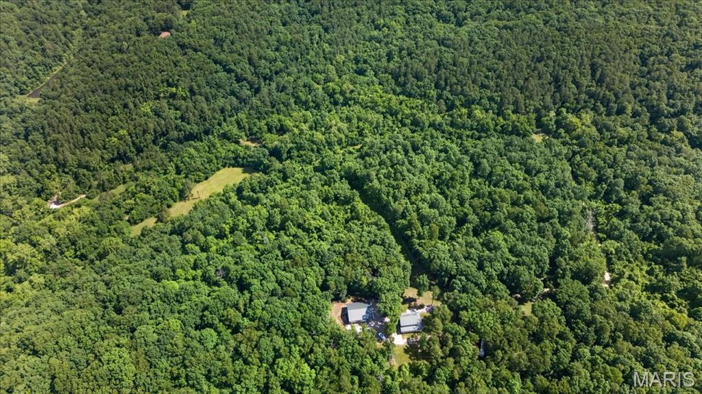10564 Timberland Drive Property Photo 1