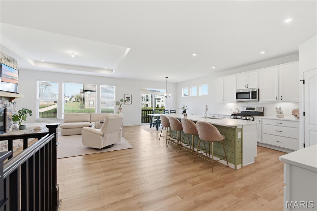 221 Kerry Downs Drive Property Photo 3