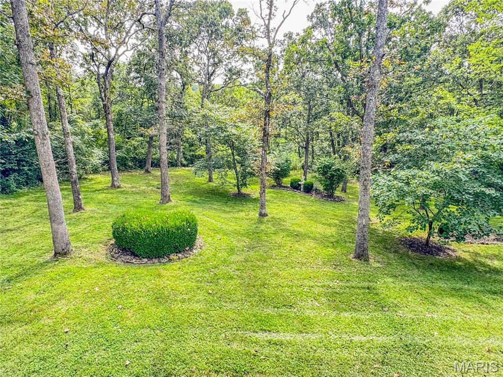 350 Elmwood Estates Drive Property Photo 95