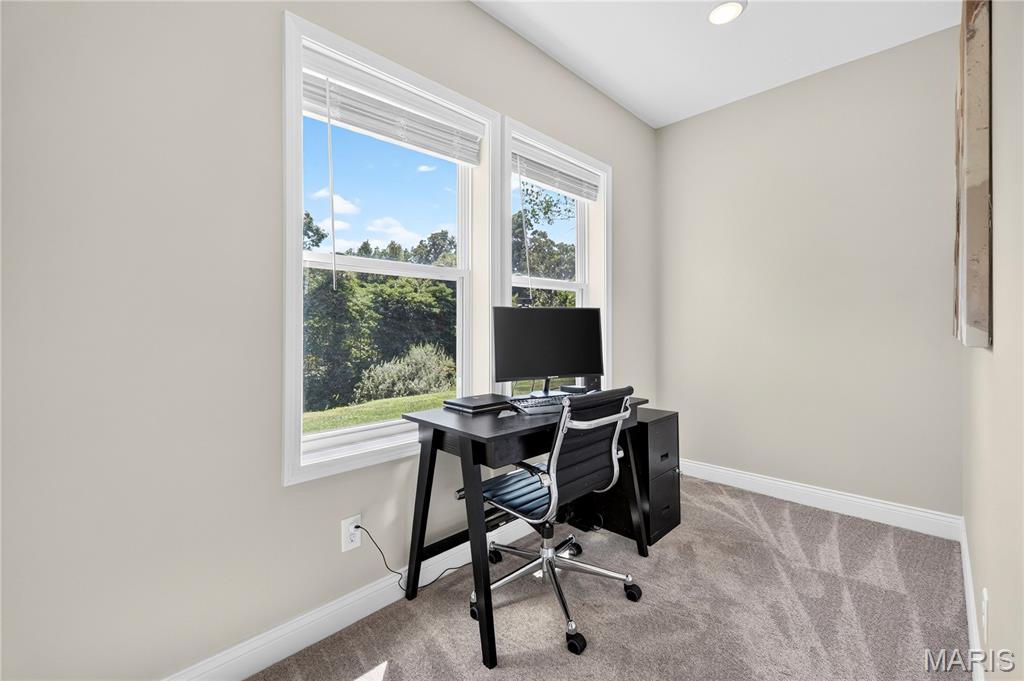 808 Autumn Rise Lane Property Photo 26