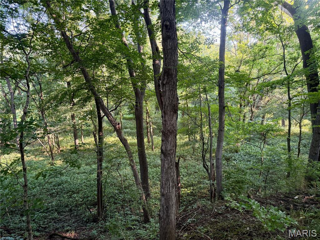 000 County Rd 700 N Property Photo 50