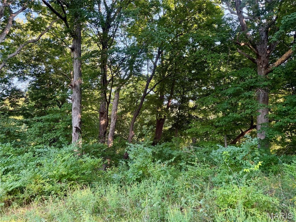 000 County Rd 700 N Property Photo 53
