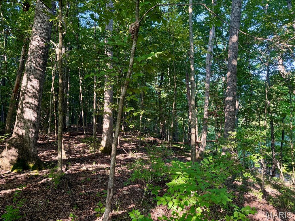 000 County Rd 700 N Property Photo 55