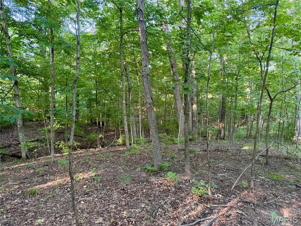 000 County Rd 700 N Property Photo 59