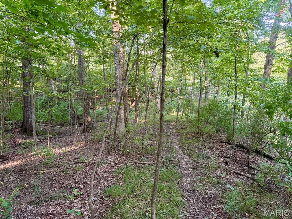 000 County Rd 700 N Property Photo 60