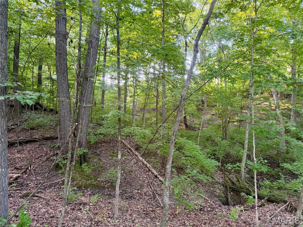 000 County Rd 700 N Property Photo 61