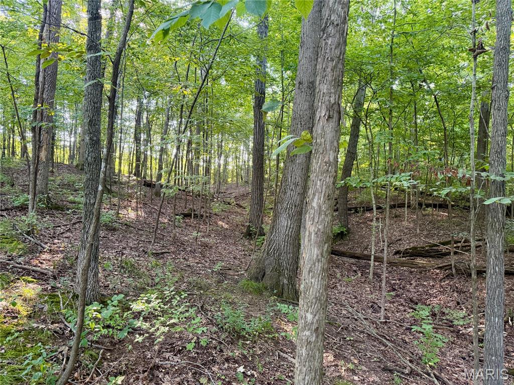 000 County Rd 700 N Property Photo 62