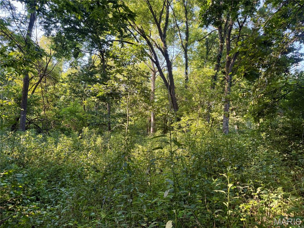 000 County Rd 700 N Property Photo 74
