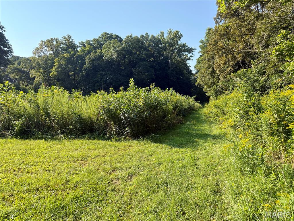 000 County Rd 700 N Property Photo 81