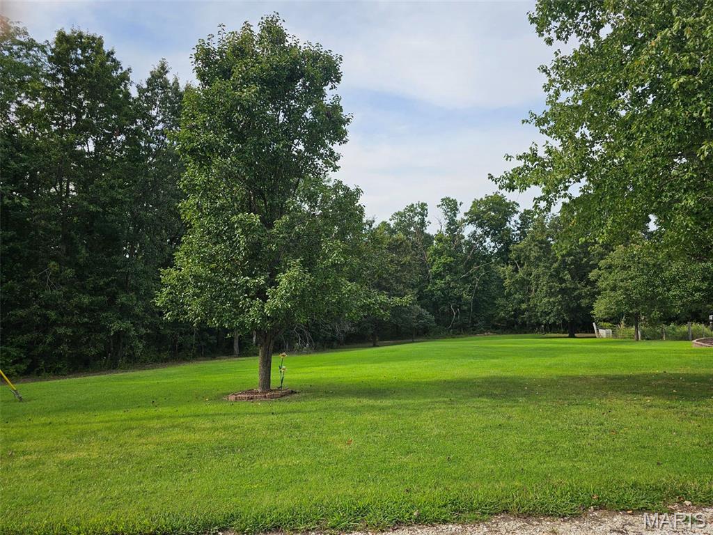 3216 Elizabeth Court Property Photo 13