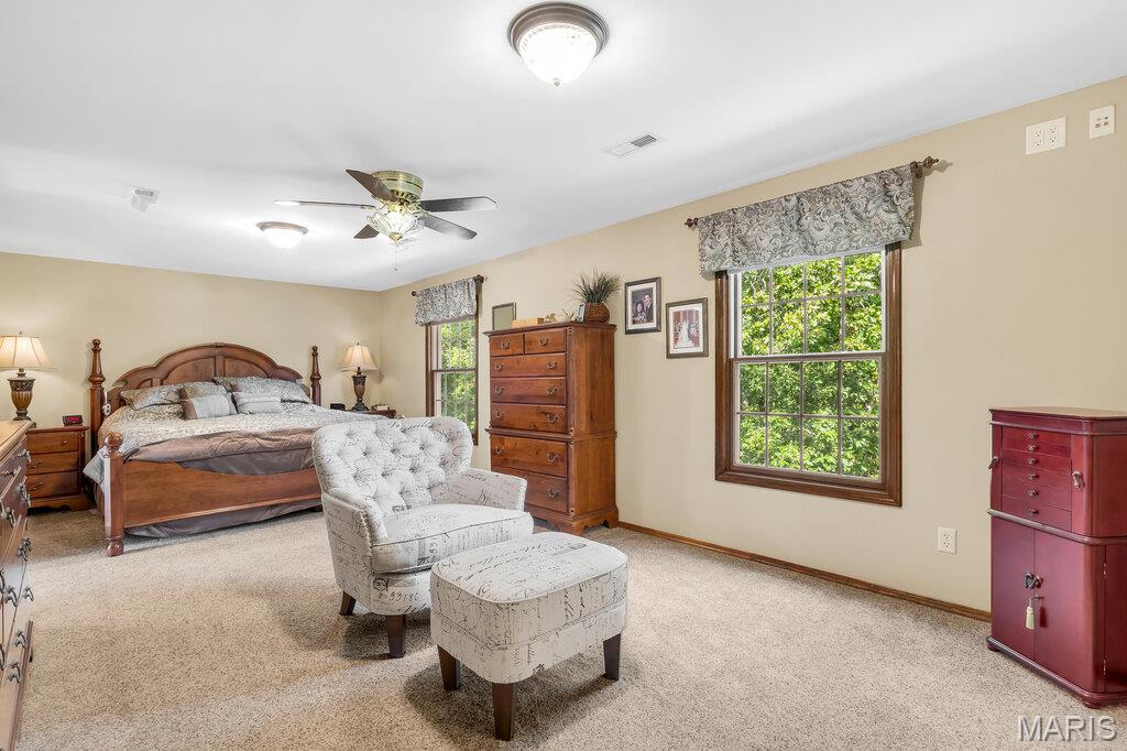 3025 Canman Lane Property Photo 41