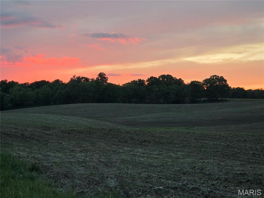 3025 Canman Lane Property Photo 94