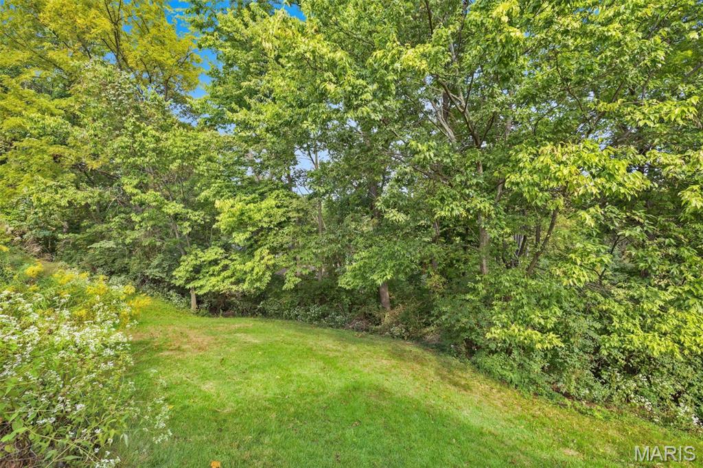 809 Ron Drive Property Photo 28
