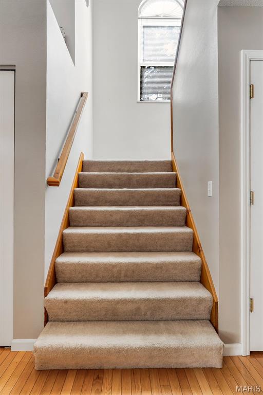 908 Amesbury Court Property Photo 21