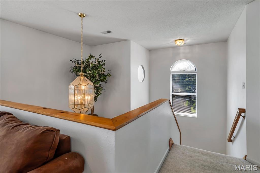 908 Amesbury Court Property Photo 22