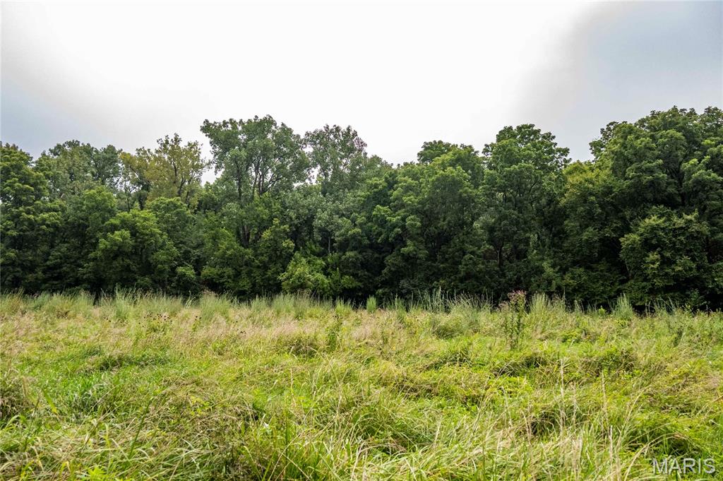 00 Terry Park Road Property Photo 52