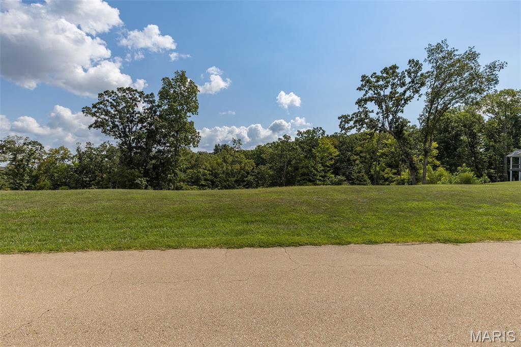Lot 30 E Stonebridge Place Property Photo 2