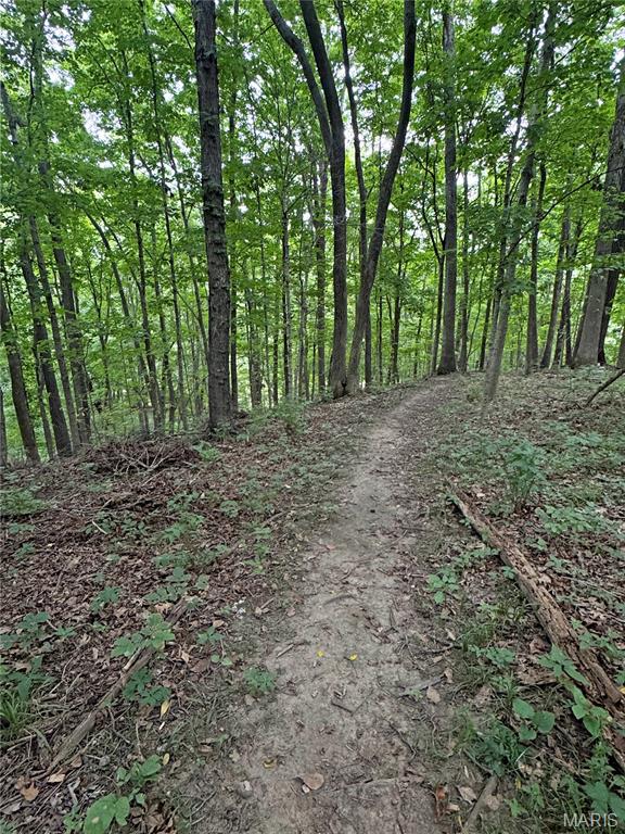 4024 Glengarry Drive Property Photo 66