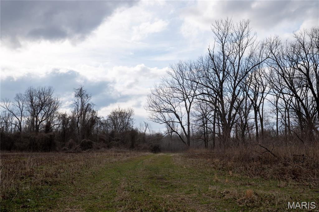 Tract 1 County Road 336 Property Photo 7