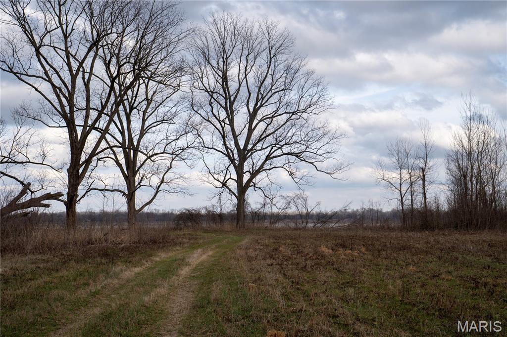 Tract 1 County Road 336 Property Photo 8
