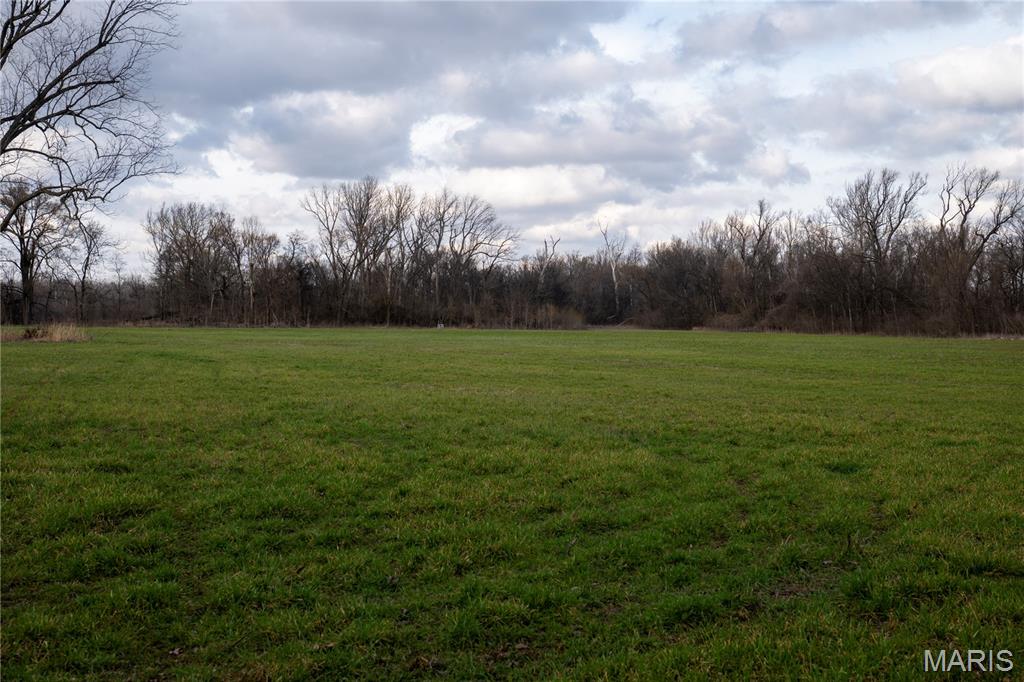 Tract 1 County Road 336 Property Photo 9
