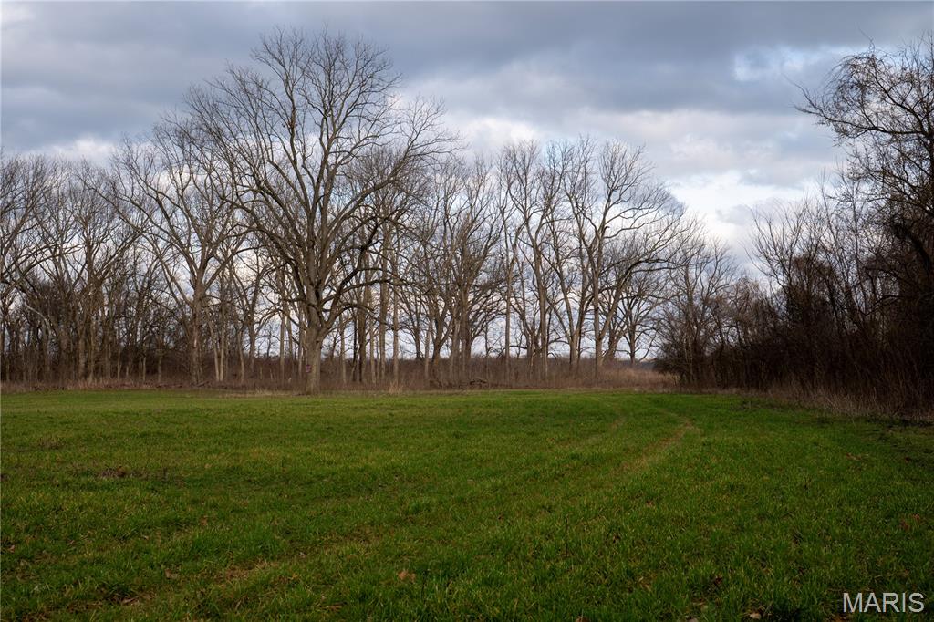 Tract 1 County Road 336 Property Photo 10