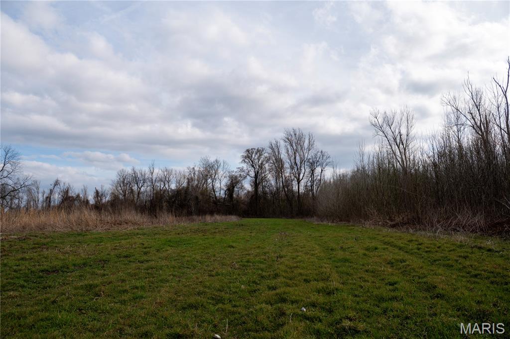 Tract 1 County Road 336 Property Photo 15