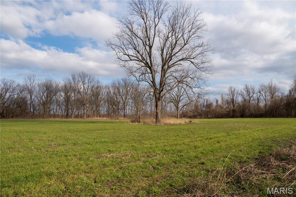 Tract 1 County Road 336 Property Photo 16