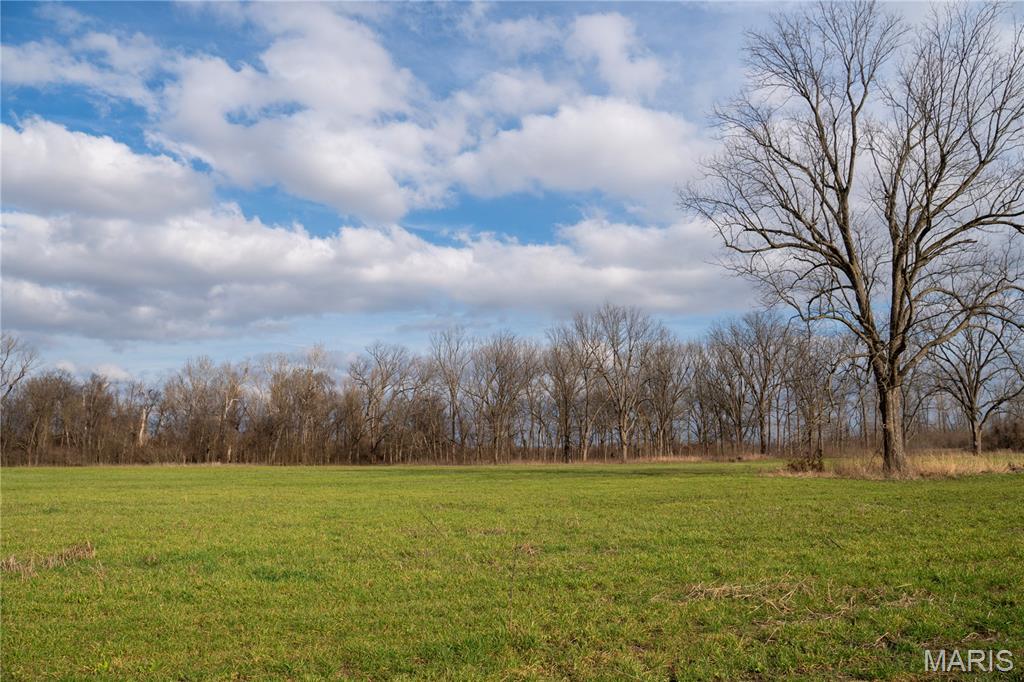Tract 1 County Road 336 Property Photo 18