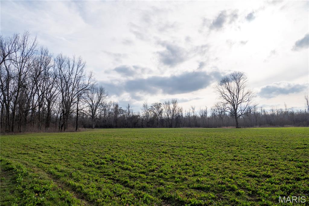 Tract 1 County Road 336 Property Photo 25