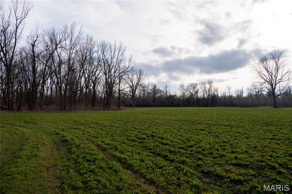 Tract 1 County Road 336 Property Photo 26