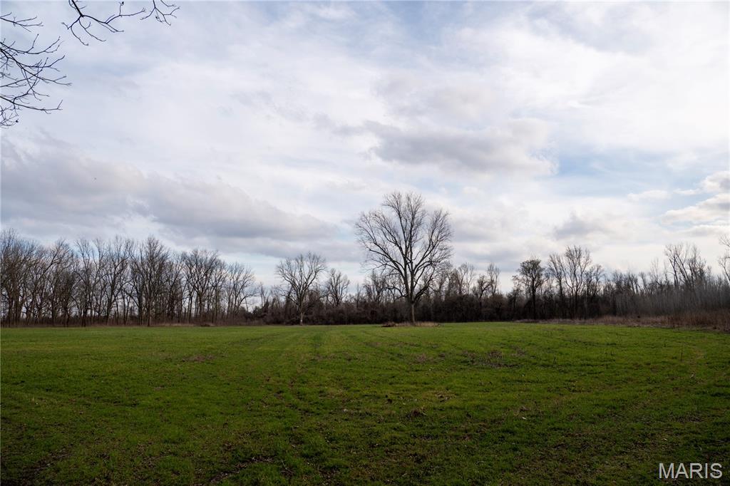 Tract 1 County Road 336 Property Photo 28