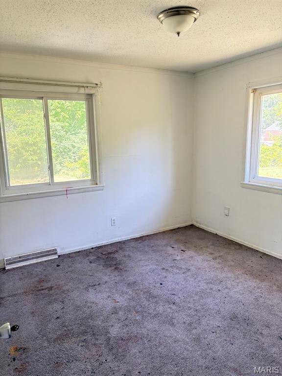 4505 Begg Boulevard Property Photo 6