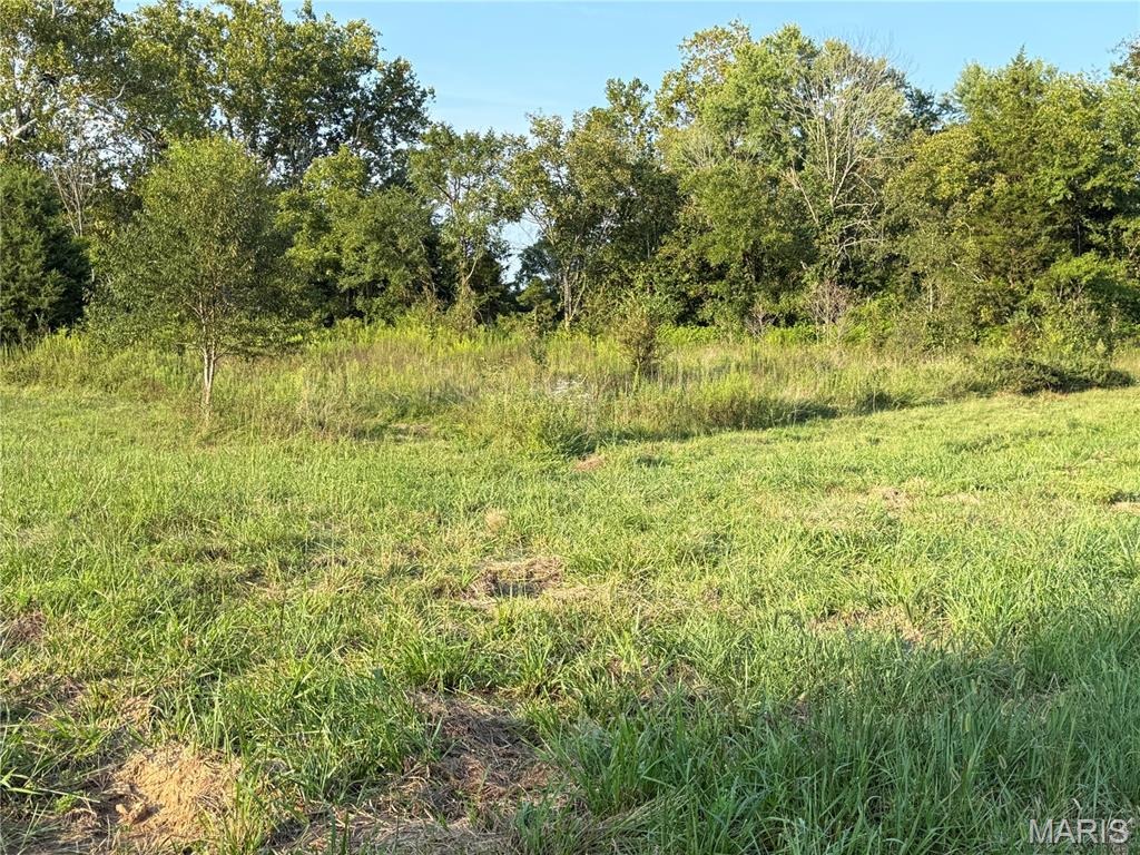 475 County Road 157 Property Photo 1